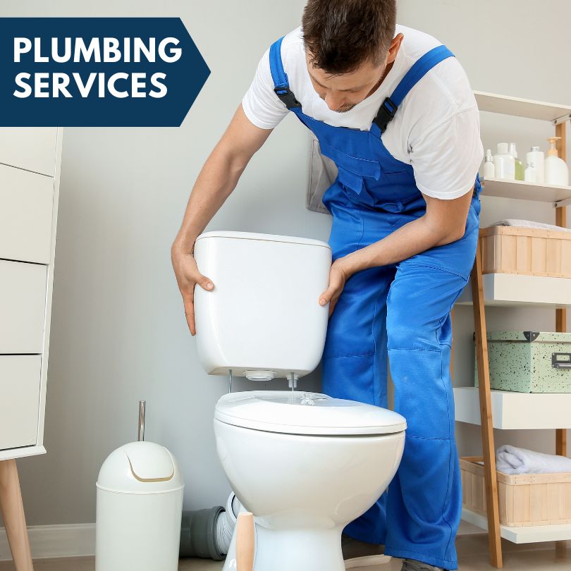 Plumbing Company in Overgaard, AZ